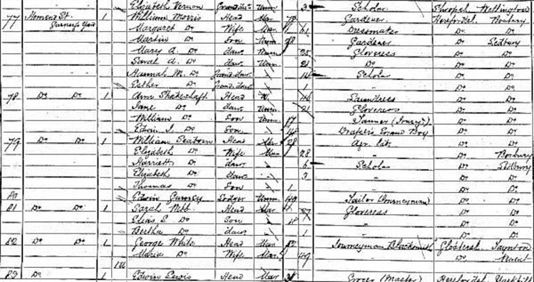 1871 census