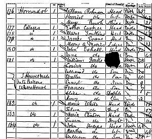 1881 census