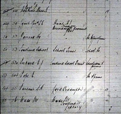 1910 Survey Entry