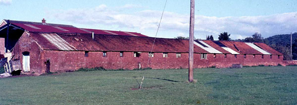 A C20 picture of the Long Cellar