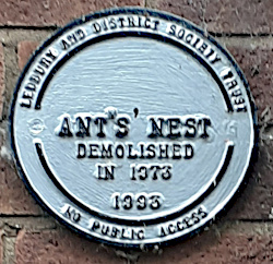 antsnest Plaque