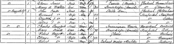 1871 census